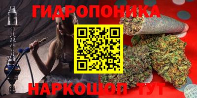 спиды Заводоуковск