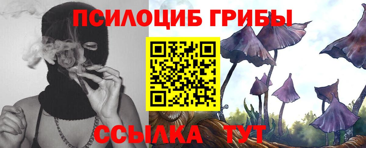Галлюциногенные грибы прущие грибы  Псилоцибиновые грибы мухоморы  продажа наркотиков  Вход с VPN  Ишимбай 